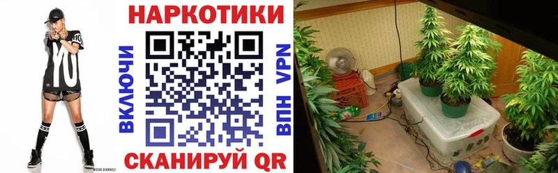 Наркошоп купить НБОМе  Cocaine  Гашиш  Меф  МАРИХУАНА  А ПВП  Благодарный