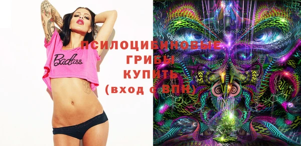 а пвп мука Касимов